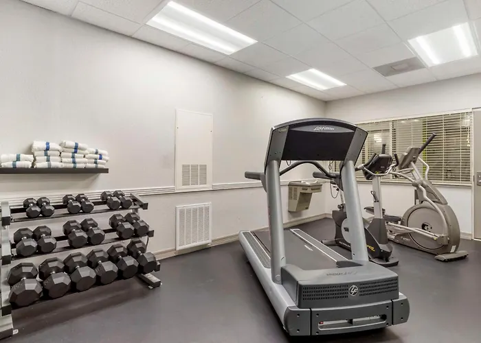 Best Western Plus Hobby Airport Inn And Suites