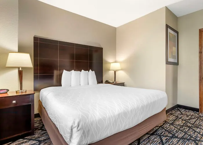 Best Western Plus Hobby Airport Inn And Suites